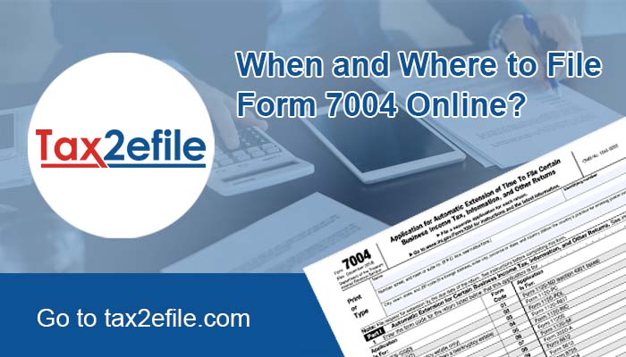 irs form 7004